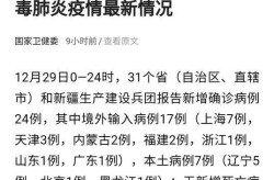 疫情是不是境外输入引起的，境外输入的算不算疫情