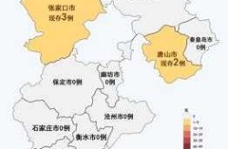 河北新增本地20例无症状43例（河北新增确诊病例40例）
