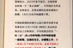 专家预测第二波感染高峰，第二波感染高峰什么时候来