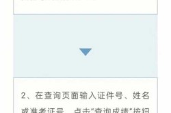 卫生人才网官网成绩查询，中国卫生人才网