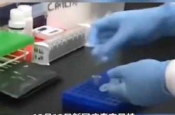 多国报告新型变异新冠病毒，全球新冠病毒变异株