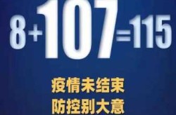 疫情开始时间是几月几日百度，疫情时间是几月几日开始的