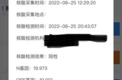 安徽发现一名核酸检测阳性人员（安徽六安发现一例新冠阳性检测者）