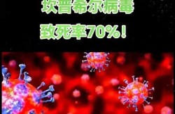 2025年马来西亚新冠，2025年马来西亚甲流情况