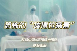 埃博拉疫情最严重国家，疫情最严重的十个国家