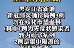 黑龙江新增3例本地确诊病例在哪（黑龙江新增本土确诊病例最新消息）