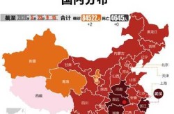 新冠肺炎国内最新数据，新冠肺炎最新数据情况