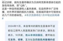 2024年瘟疫最新消息，湖北瘟疫情最新消息