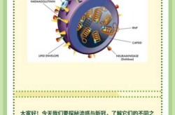 第三次新冠病毒叫什么名字，新冠后第二个病毒叫什么