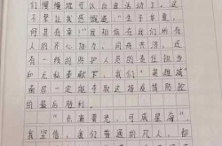 疫情最新政策最新消息作文，深圳疫情最新消息