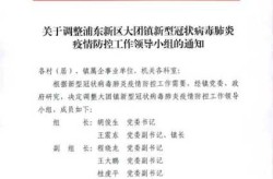 浦东新区疫情最新消息，浦东大团镇最新消息