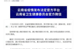 云南新增1例本土无症状感染，云南新增1本土无症状