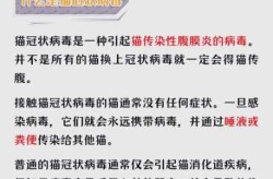 猫会感染新型冠状病毒吗，犬冠状病毒会传染给猫吗