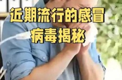 最近的流感叫什么名字，最近爆发的病毒叫什么