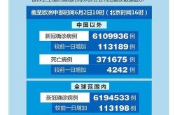 中国疫情最严重的城市是，疫情最严重的是哪个城市