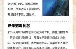 紫外线灯能杀死奥密克戎吗，紫外线灯能杀病毒吗