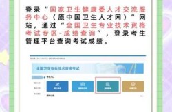 中国卫生人才网成绩打印，卫生人才网成绩查询入口