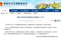 襄阳市疫情最新情况，今年疫情最新消息