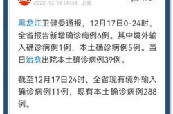 黑龙江新增1例境外输入确诊病例（黑龙江新增本土确诊病例最新消息）