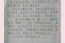 疫情作文素材600字，疫情万能作文素材