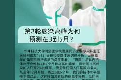 第二轮感染高峰已经来了吗，第二波感染高峰什么时候来