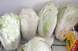 疫情期间白菜多少钱一斤，白菜一般一斤多少元