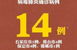 河北通报14例本土确诊，河北新增1确诊病例