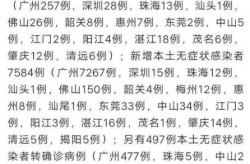 广东新增3例本土病例，广东一例本土病例是怎么回事