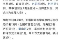 安徽新增境外输入确诊2例，安徽新增确诊病例60例
