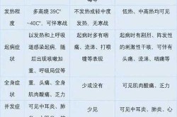 一个人得流感传染全家，一人得乙流全家会得吗
