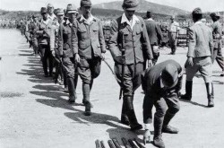 日本疫情一共死了多少人，日本侵华共死亡多少人