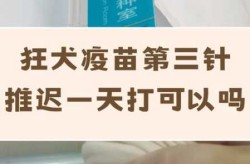 新冠疫苗第一针和第二针间隔时间（狂犬疫苗第二针晚了11天）
