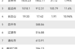 2024年吉林市疫情，2024年吉林省