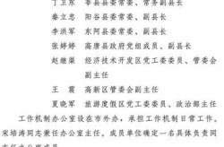 聊城市疫情防控指挥部，疫情防控指挥部成立方案