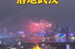 2023武汉昨天又  了吗（今天武汉怎么了）