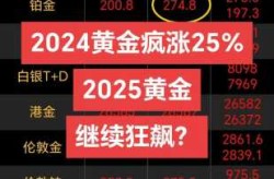 2024年最可能暴涨的东西（2025年最贵的东西）