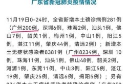 31省区市新增本土确诊11例 在广东，广东省新增本土确诊病例