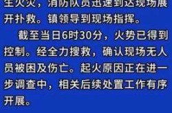 凤凰最新疫情最新消息，最新疫情爆发