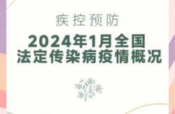 2024全国最新疫情，全国疫情最新情况