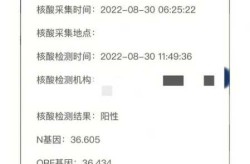 每日新冠阳性新增5000例以上（新冠病毒阳性检出率最高的是）