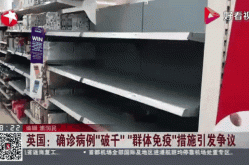 英国群体免疫防疫策略，英国群体免疫政策
