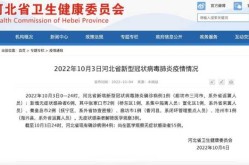 河北新增10例本土确诊病例详情（河北新增确诊病例40例）