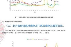 2024年流感的数据，2024年流感高峰期
