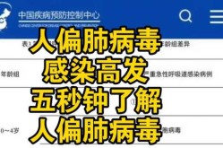 人偏肺病毒俗称叫什么，人偏肺病毒是什么病