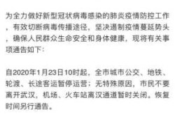 疫情最严重是几月几日，2020疫情最严重的时候是几月几日