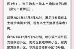 致哈尔滨疫情扩散的满洲里病例发声（哈尔滨感染病例）