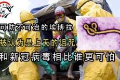 埃博拉疫情死了多少人，埃博拉病毒死亡率是多少