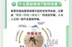 2024年1月疫情新信息，2024年1月份还有疫情吗