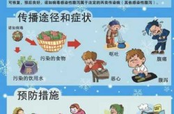新型流感病毒2024症状，最近流感病毒2024症状