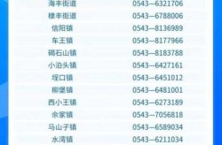 聊城疫情最新动态实时，聊城疫情最新消息今天新增